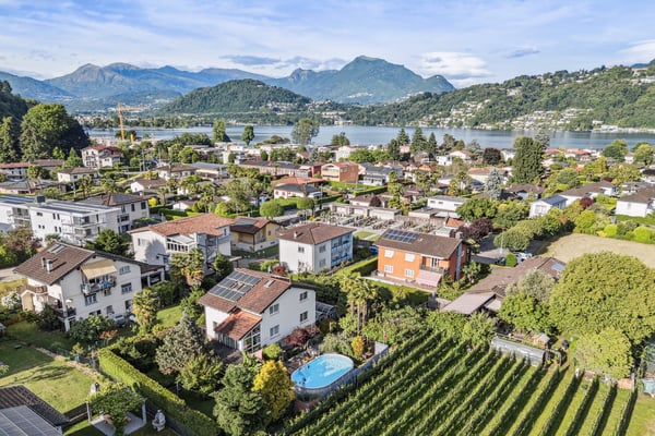 BADEOASIS MIT PALMEN UND POOL 1