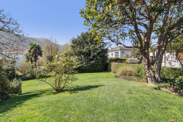 PALMEN, RUHE UND LEBENSQUALITÄT 8