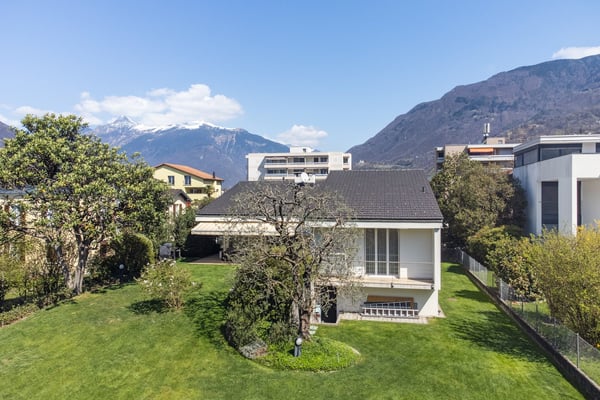 PALMEN, RUHE UND LEBENSQUALITÄT 1