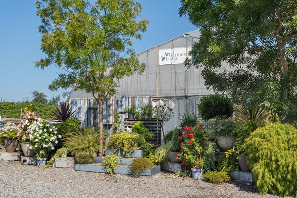 WO RUSTIKALER CHARME AUF GROSSES POTENTIAL TRIFFT 6