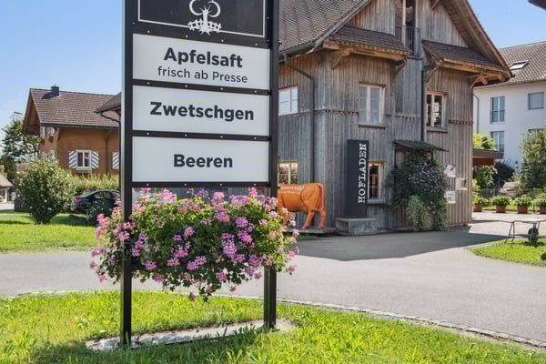 WO RUSTIKALER CHARME AUF GROSSES POTENTIAL TRIFFT 7