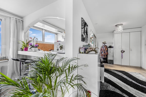 AUSSICHTSWUNDER IN DER STADT ZÜRICH 4