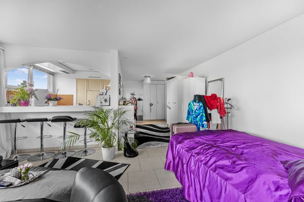 AUSSICHTSWUNDER IN DER STADT ZÜRICH 8