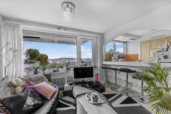 AUSSICHTSWUNDER IN DER STADT ZÜRICH 3