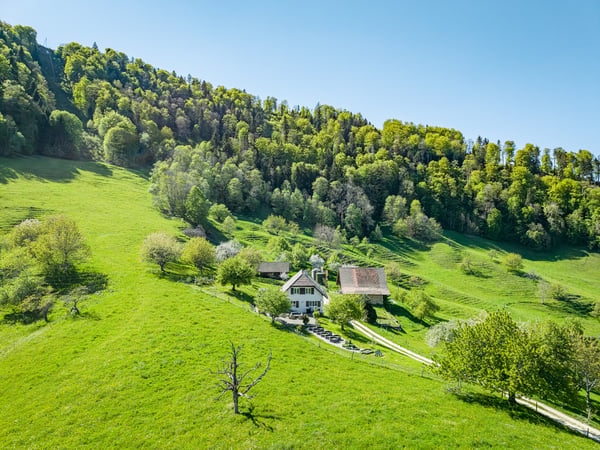 FRIEDLICHES ANWESEN IM GRÜNEN PARADIES 7