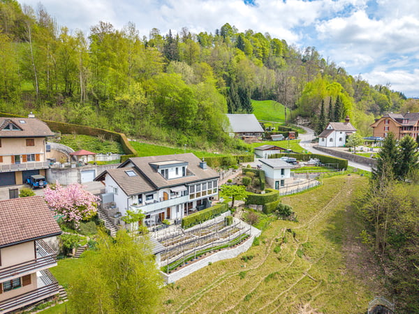 MONTE CASTELLO - FANTASTISCHES ANWESEN MIT NEBENGEBÄUDE UND WEINBERG 1