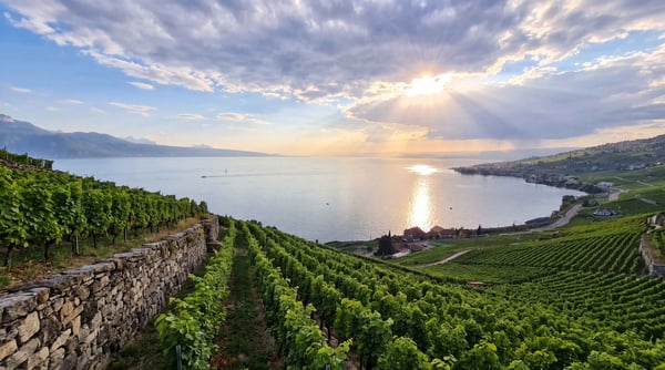 4.61% RENDITE – MEHRFAMILIENHAUS IM HERZEN DES LAVAUX 7