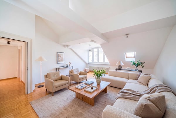 DACHWOHNUNG MIT CHARME IN BASEL-STADT 1