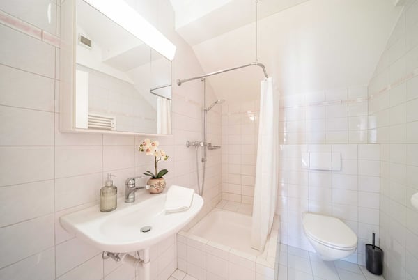 DACHWOHNUNG MIT CHARME IN BASEL-STADT 4