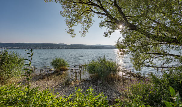 BAULANDCHANCE IN FELDMEILEN 7