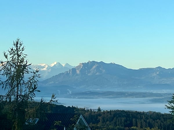 MAISONETTE-IDYLLE MIT WEITBLICK AM ALBIS 7