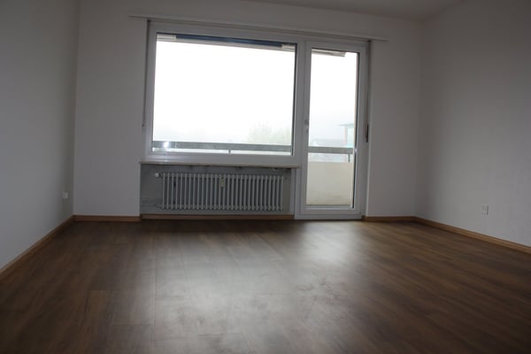Geräumige 1-Zimmer-Wohnung mit Balkon in ruhiger Lage in Flüh 6