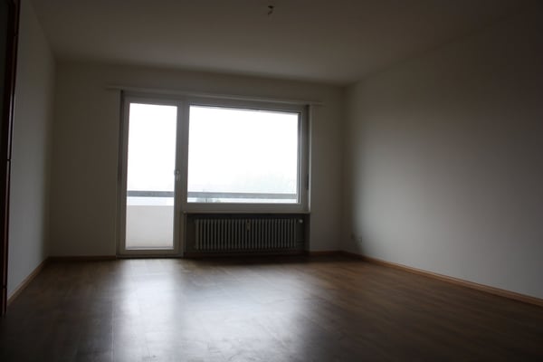 Geräumige 1-Zimmer-Wohnung mit Balkon in ruhiger Lage in Flüh 4