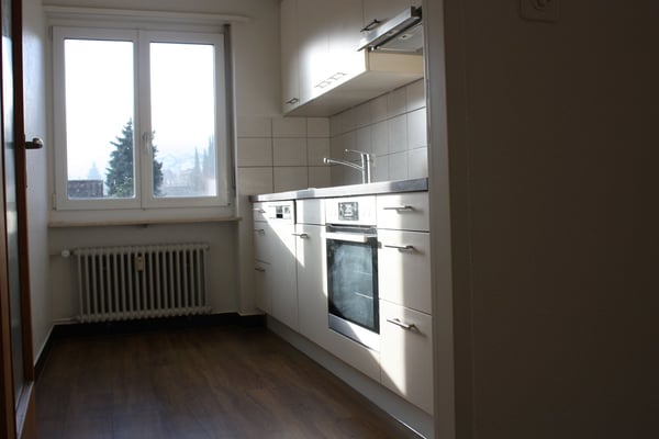 Geräumige 1-Zimmer-Wohnung mit Balkon in ruhiger Lage in Flüh 3