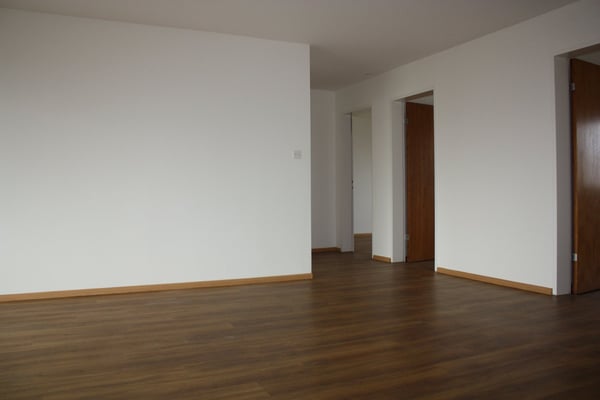 Geräumige 1-Zimmer-Wohnung mit Balkon in ruhiger Lage in Flüh 5