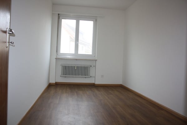 Geräumige 1-Zimmer-Wohnung mit Balkon in ruhiger Lage in Flüh 8