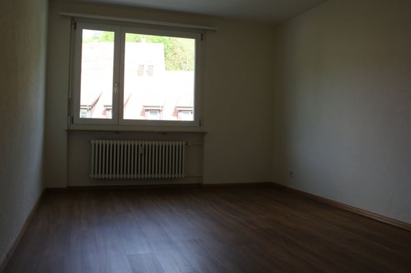 Geräumige 1-Zimmer-Wohnung mit Balkon in ruhiger Lage in Flüh 7