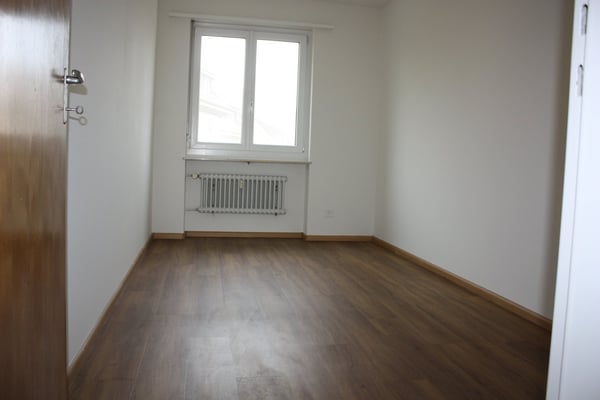 Geräumige 1-Zimmer-Wohnung mit Balkon in ruhiger Lage in Flüh 9