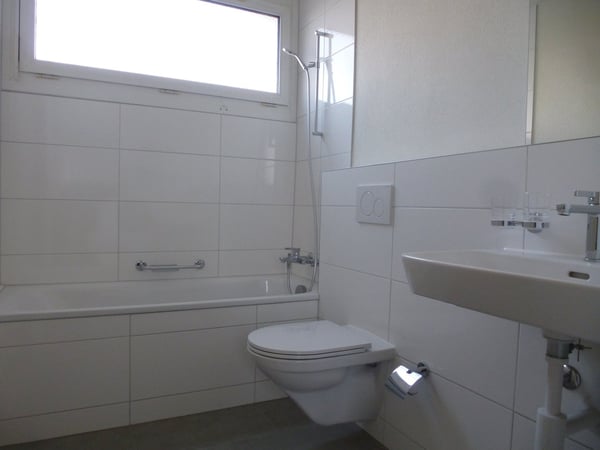 Helle grosszügige 1.5-Zimmerwohnung mit Balkon 10