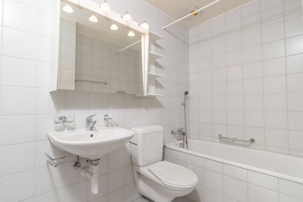 Wunderschöne Dachwohnung mit Galerie und Schwedenofen 9