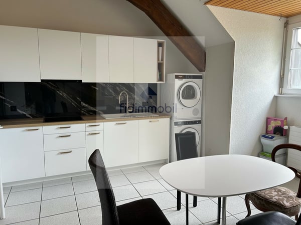 BEL APPARTEMENT PARTIELLEMENT RÉNOVÉ DANS DEMEURE VILLAGEOISE 2