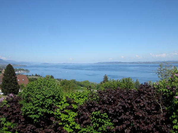 MAGNIFIQUE MAISON VIGNERONNE DANS QUARTIER CALME