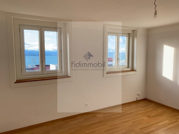 APPARTEMENT PROCHE DE TOUTES LES COMMODITES AVEC VUE SUR LE LAC 2