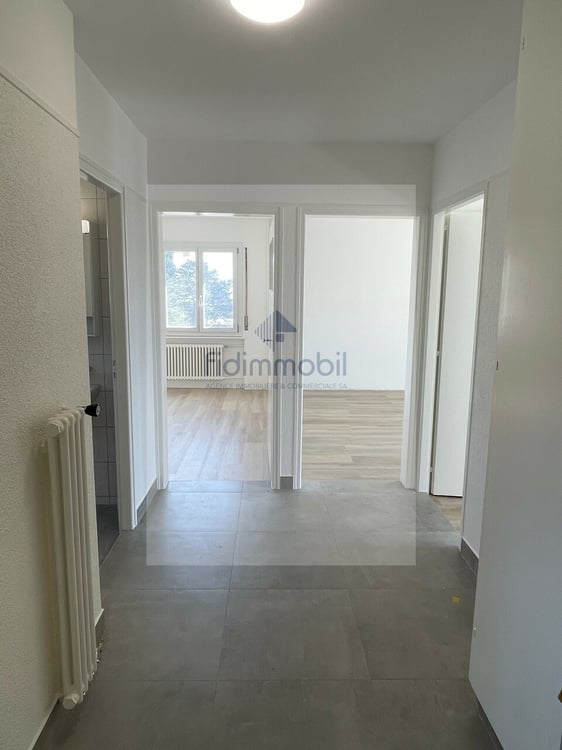 Appartement entièrement rénové de 1 pièces 4