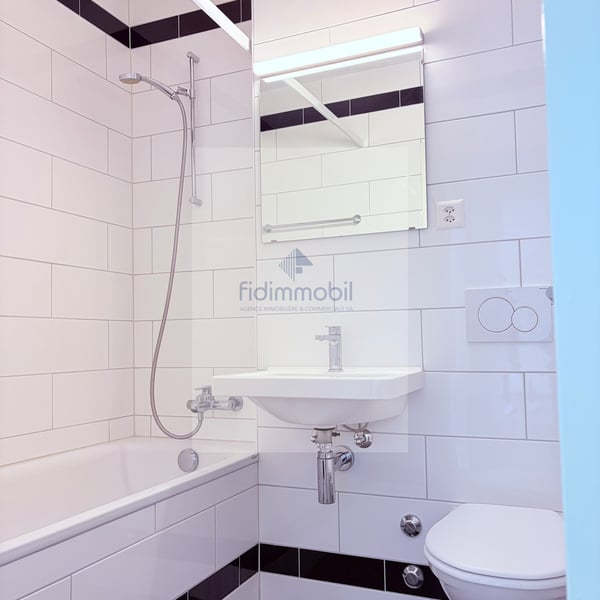 Splendide 1.5 pièces à louer 5