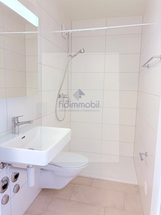 Splendide 1.5 pièces à louer 4