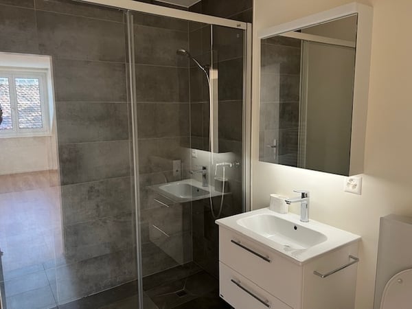 Magnifique appartement rénové 6