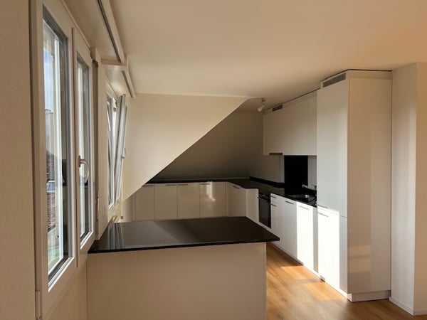 Magnifique appartement rénové 3