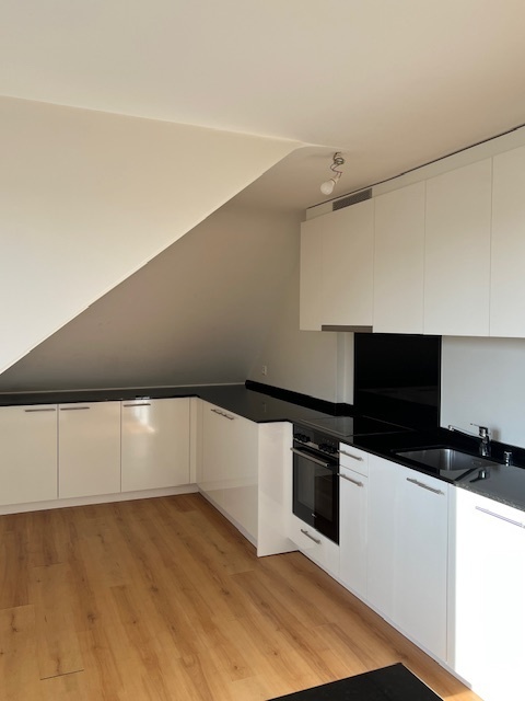 Magnifique appartement rénové 1