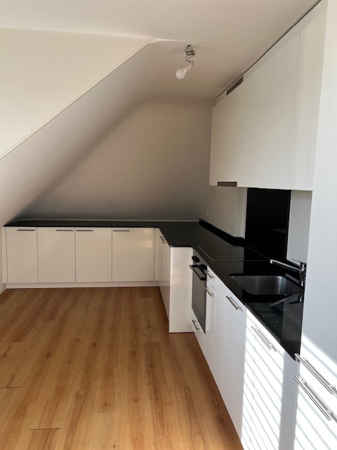 Magnifique appartement rénové 2