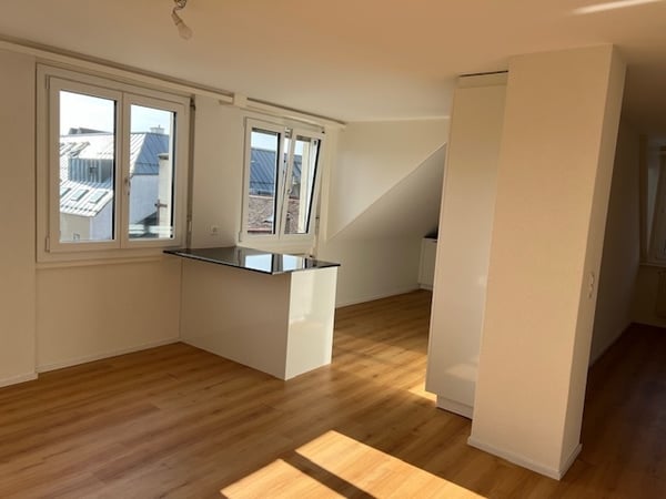 Magnifique appartement rénové 4