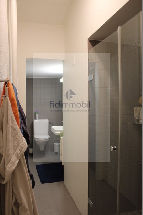 GRAND 1.5 PIECES EN CENTRE VILLE 3