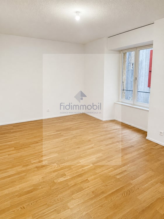 Appartement entièrement rénové au centre-ville 4