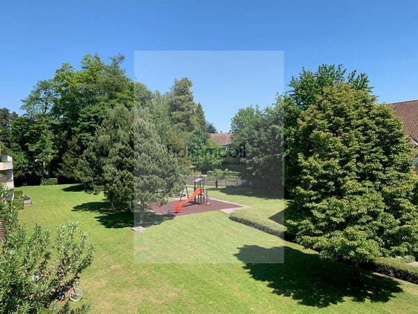 GRAND APPARTEMENT DE 2.5 PIÈCES AU REZ AVEC TERRASSE 11