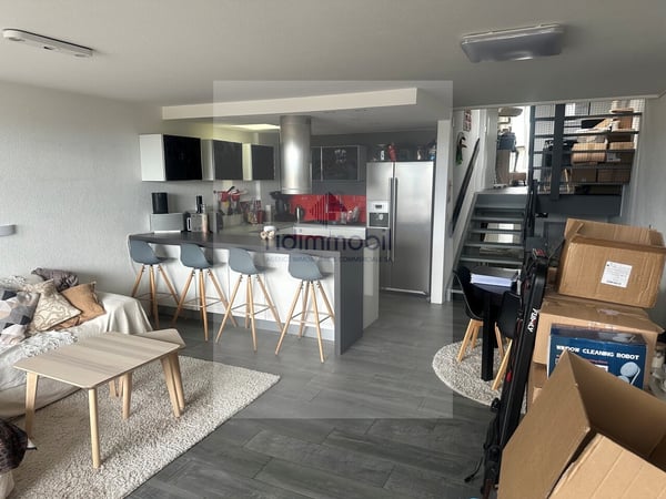 Magnifique appartement 3