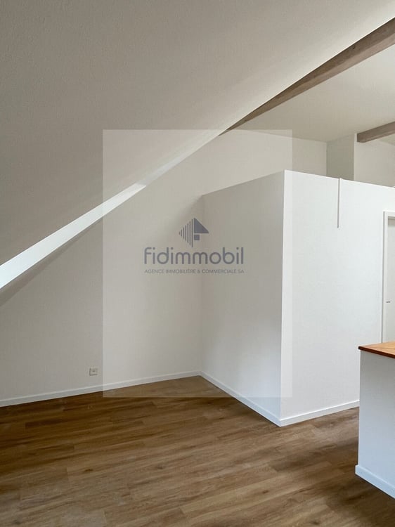 Bel appartement lumineux avec cuisine ouverte au coeur de Neuchâtel 4
