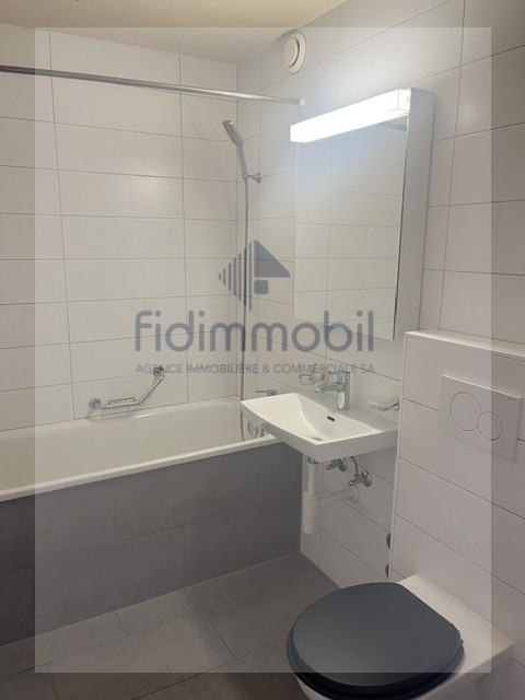 Bel appartement proche de toutes commodités 4