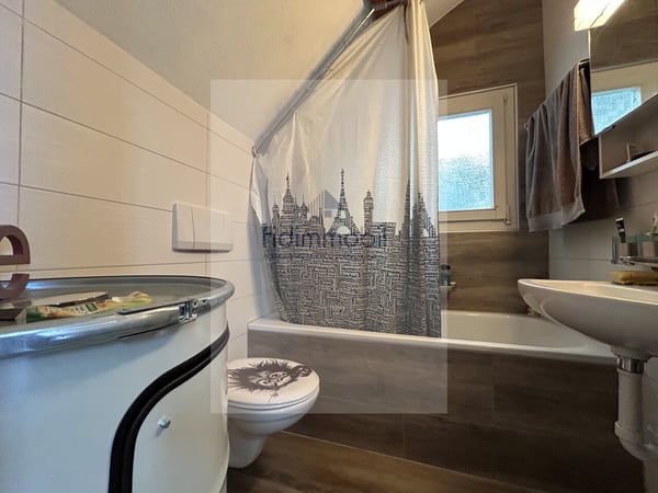 GRAND LOFT EN CENTRE VILLE PROCHE DE TOUTES LES COMMODITÉS 6