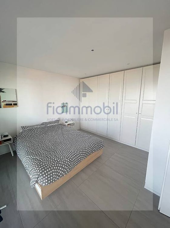 Magnifique attique avec terrasse de 80m2 et vue sur le lac 5