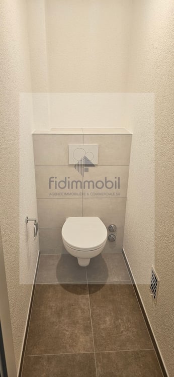 Bel appartement entièrement rénové, lumineux et agréable à vivre 5