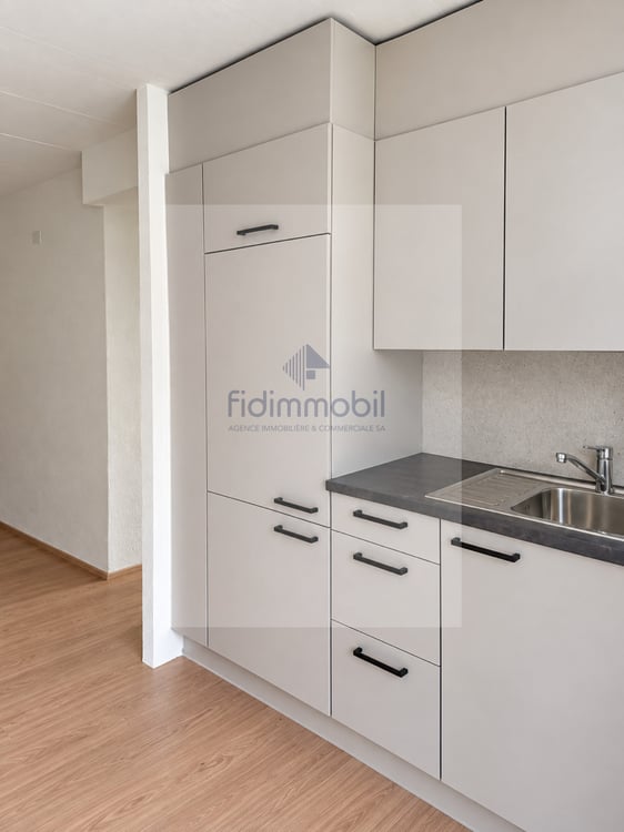 Appartement rénové d'une 1.5 pièce 1