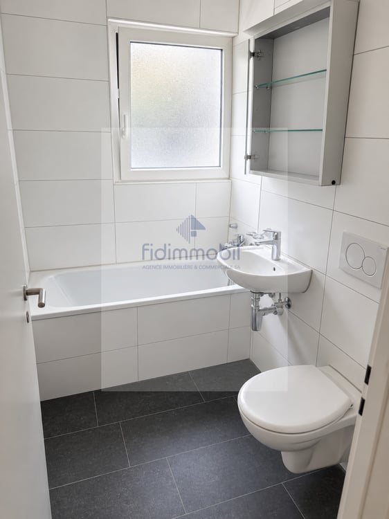 Appartement rénové d'une 1.5 pièce 4