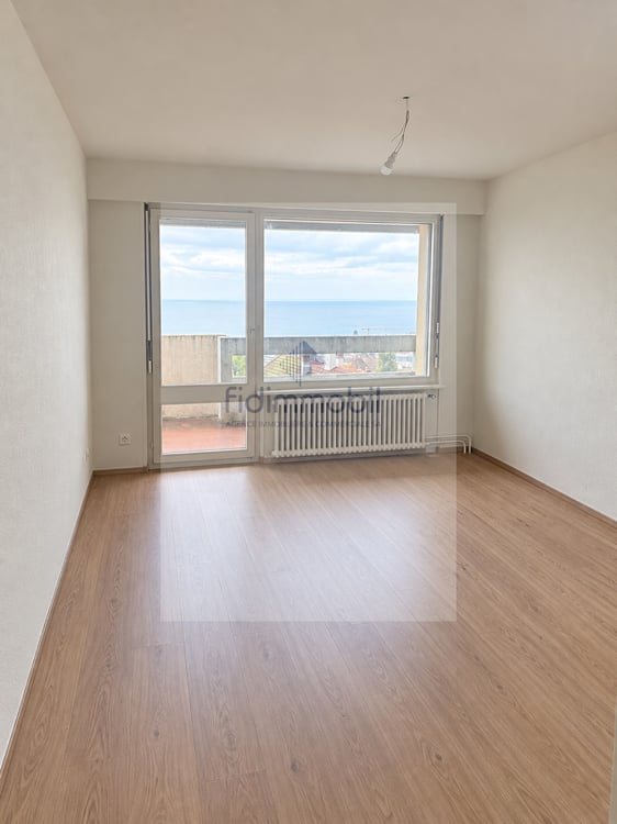 Appartement rénové d'une 1.5 pièce 3