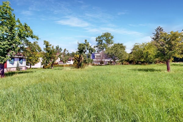 wunderbares Grundstück an traumhafter Lage 3