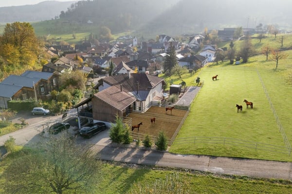 ein echter Wohntraum - luxuriöses Einfamilienhaus mit unzähligen Benefits 14