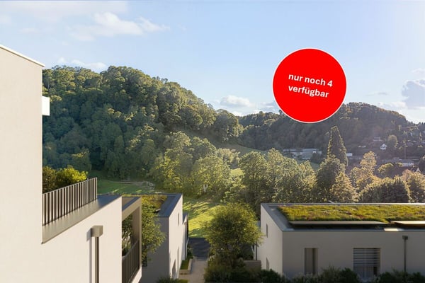 NEUBAU: 6 Einfamilienhäuser mit diversen Annehmlichkeiten 1
